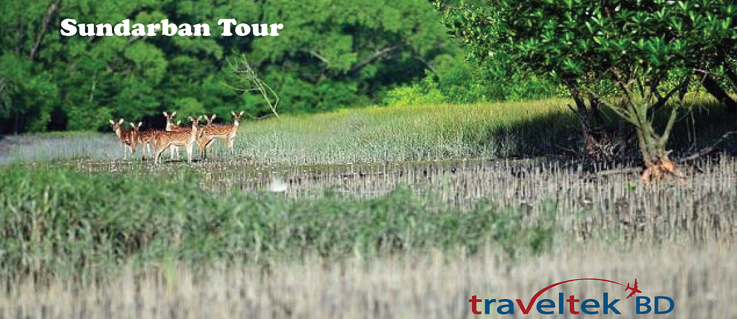 Sundarban Tour