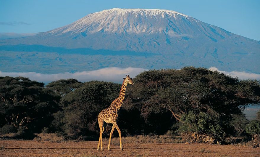 Kenya eTA for Citizens of Bangladesh