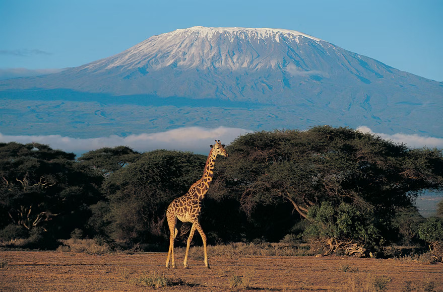 Kenya eTA for Citizens of Bangladesh